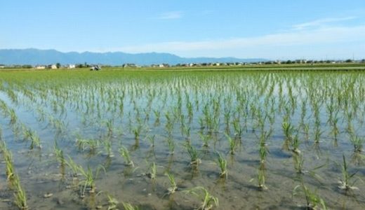 農地改革による日本仏教の衰退